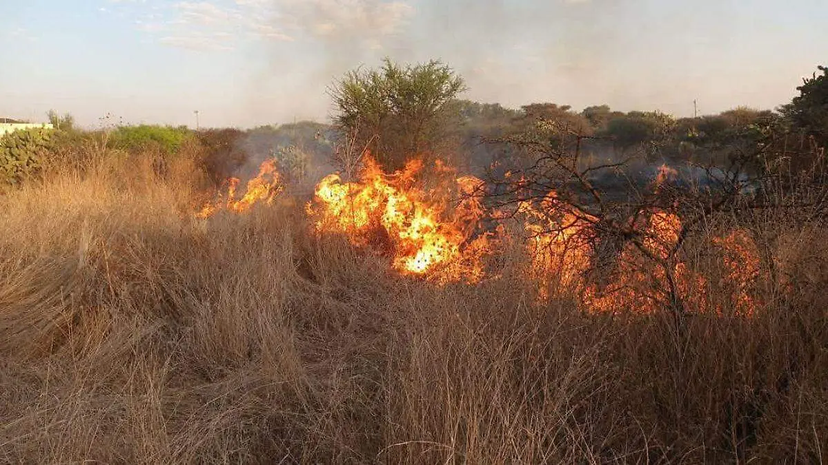 incendios tepeji 